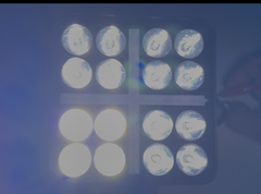 Set 2 Proiector LED compact 48W, alb + galben flash, 16 LED-uri, 12–24V